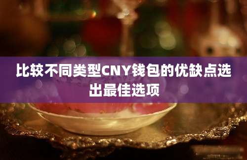 比较不同类型CNY钱包的优缺点选出最佳选项