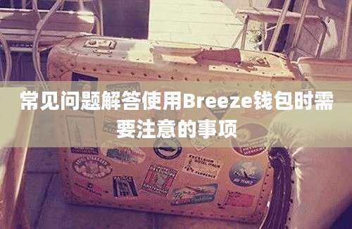 常见问题解答使用Breeze钱包时需要注意的事项