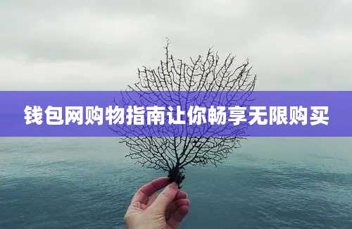 钱包网购物指南让你畅享无限购买