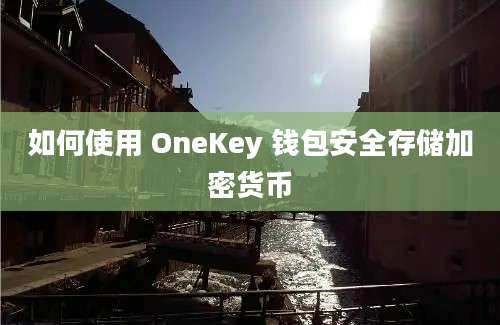 如何使用 OneKey 钱包安全存储加密货币