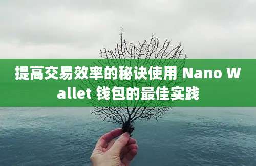 提高交易效率的秘诀使用 Nano Wallet 钱包的最佳实践