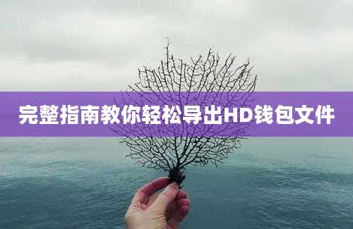 完整指南教你轻松导出HD钱包文件