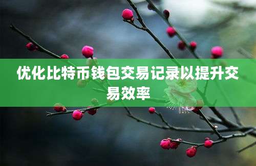 优化比特币钱包交易记录以提升交易效率