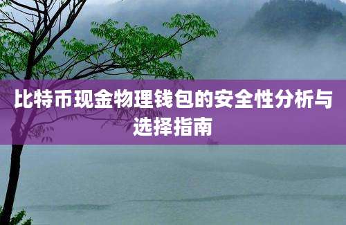 比特币现金物理钱包的安全性分析与选择指南