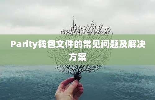 Parity钱包文件的常见问题及解决方案