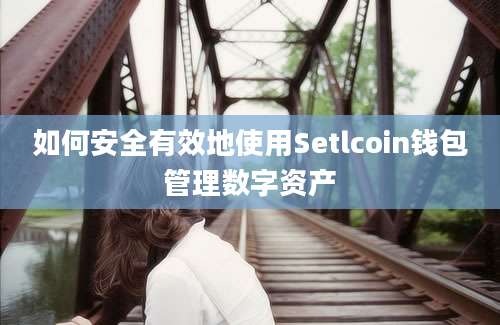 如何安全有效地使用Setlcoin钱包管理数字资产