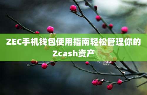 ZEC手机钱包使用指南轻松管理你的Zcash资产