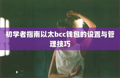 初学者指南以太bcc钱包的设置与管理技巧