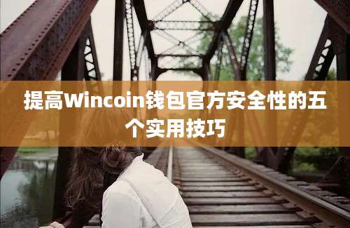 提高Wincoin钱包官方安全性的五个实用技巧