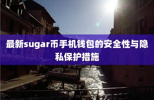 最新sugar币手机钱包的安全性与隐私保护措施