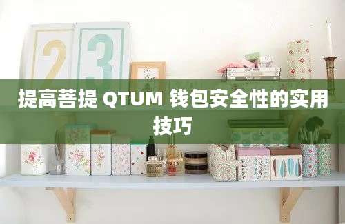 提高菩提 QTUM 钱包安全性的实用技巧