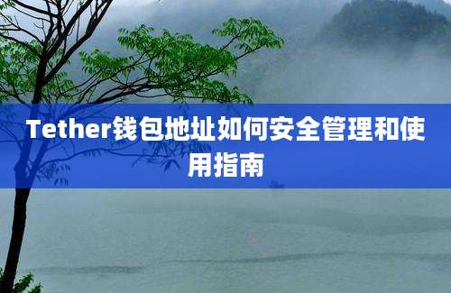 Tether钱包地址如何安全管理和使用指南