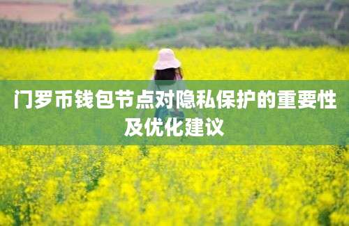 门罗币钱包节点对隐私保护的重要性及优化建议