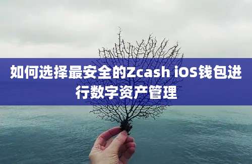 如何选择最安全的Zcash iOS钱包进行数字资产管理