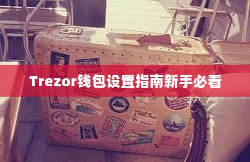 Trezor钱包设置指南新手必看