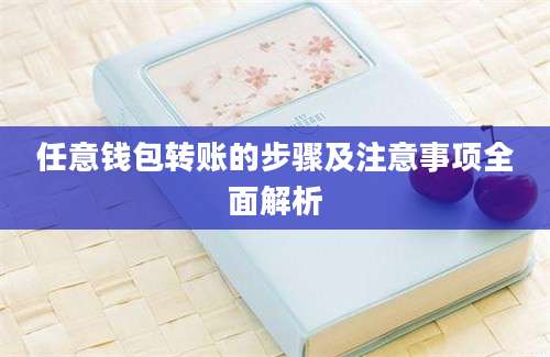 任意钱包转账的步骤及注意事项全面解析