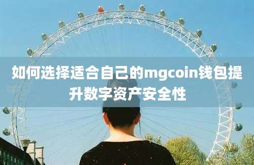 如何选择适合自己的mgcoin钱包提升数字资产安全性