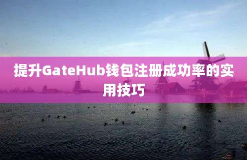 提升GateHub钱包注册成功率的实用技巧