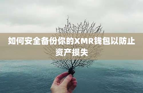 如何安全备份你的XMR钱包以防止资产损失