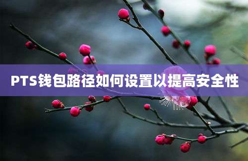 PTS钱包路径如何设置以提高安全性