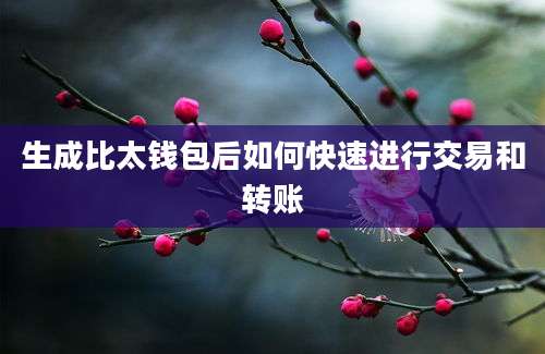 生成比太钱包后如何快速进行交易和转账