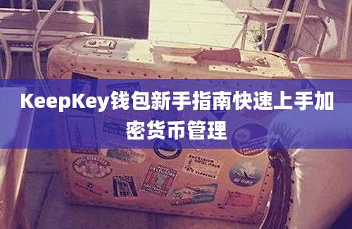 KeepKey钱包新手指南快速上手加密货币管理