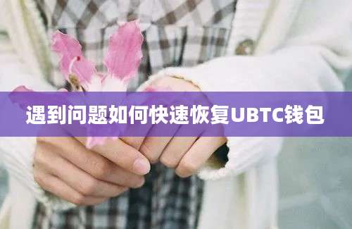 遇到问题如何快速恢复UBTC钱包