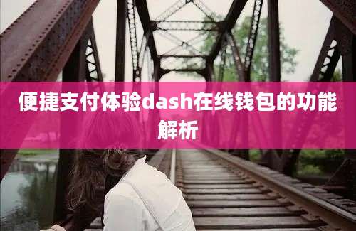 便捷支付体验dash在线钱包的功能解析