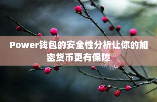 Power钱包的安全性分析让你的加密货币更有保障