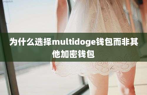 为什么选择multidoge钱包而非其他加密钱包