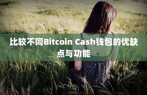 比较不同Bitcoin Cash钱包的优缺点与功能