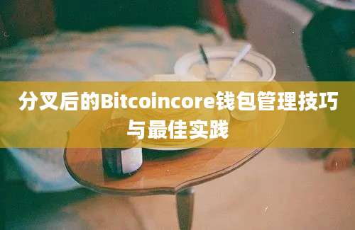 分叉后的Bitcoincore钱包管理技巧与最佳实践