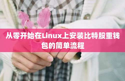 从零开始在Linux上安装比特股重钱包的简单流程