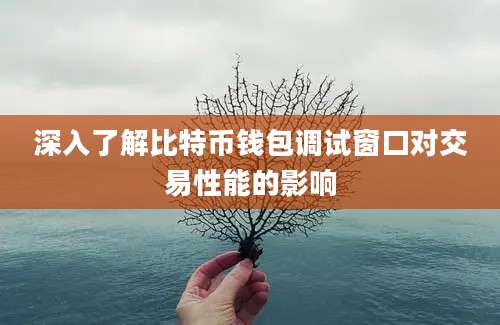 深入了解比特币钱包调试窗口对交易性能的影响