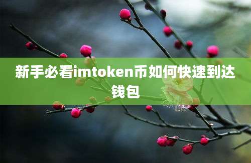 新手必看imtoken币如何快速到达钱包