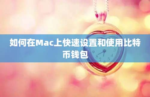 如何在Mac上快速设置和使用比特币钱包