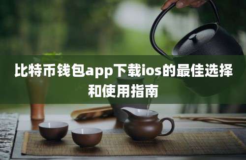 比特币钱包app下载ios的最佳选择和使用指南