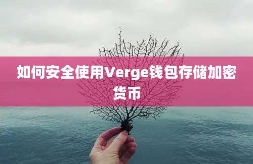 如何安全使用Verge钱包存储加密货币