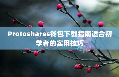 Protoshares钱包下载指南适合初学者的实用技巧