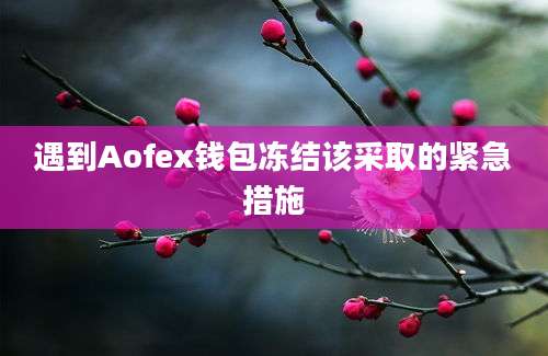 遇到Aofex钱包冻结该采取的紧急措施