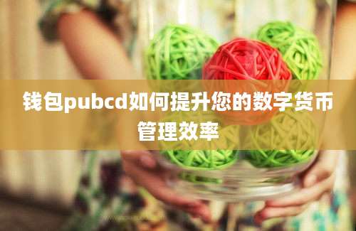 钱包pubcd如何提升您的数字货币管理效率