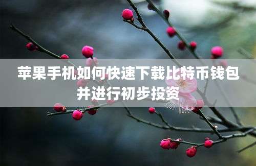 苹果手机如何快速下载比特币钱包并进行初步投资