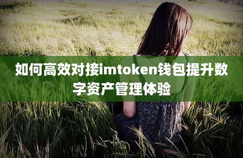 如何高效对接imtoken钱包提升数字资产管理体验