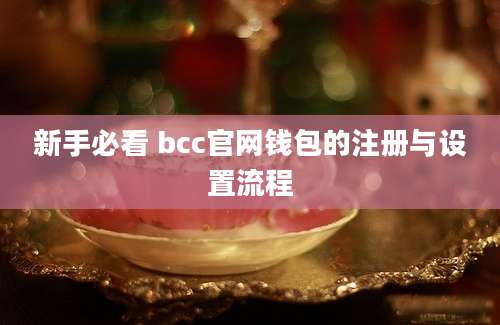 新手必看 bcc官网钱包的注册与设置流程