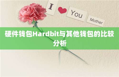 硬件钱包Hardbit与其他钱包的比较分析