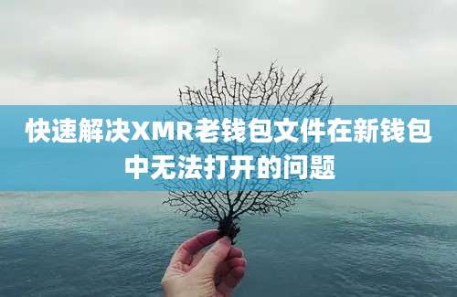 快速解决XMR老钱包文件在新钱包中无法打开的问题