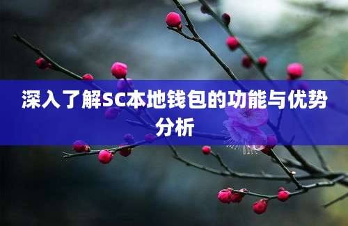 深入了解SC本地钱包的功能与优势分析