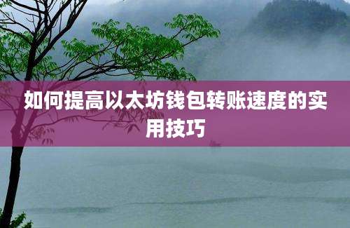 如何提高以太坊钱包转账速度的实用技巧