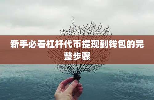 新手必看杠杆代币提现到钱包的完整步骤