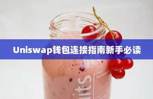 Uniswap钱包连接指南新手必读